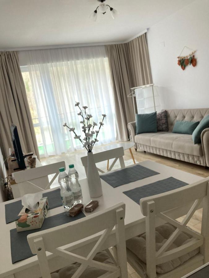 דירות Apartament Panoramic View סינאיה מראה חיצוני תמונה