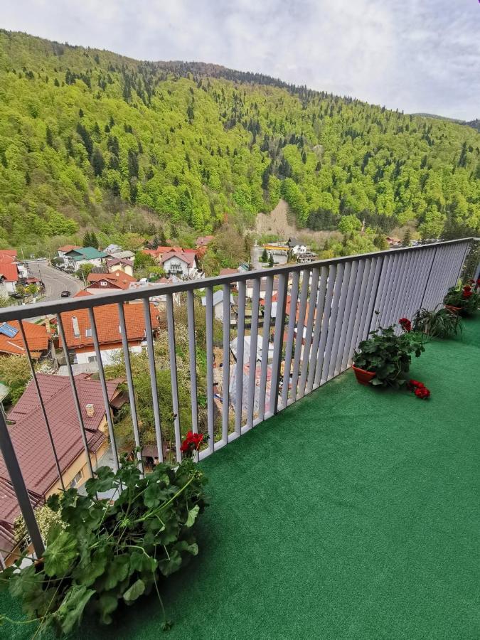 דירות Apartament Panoramic View סינאיה מראה חיצוני תמונה