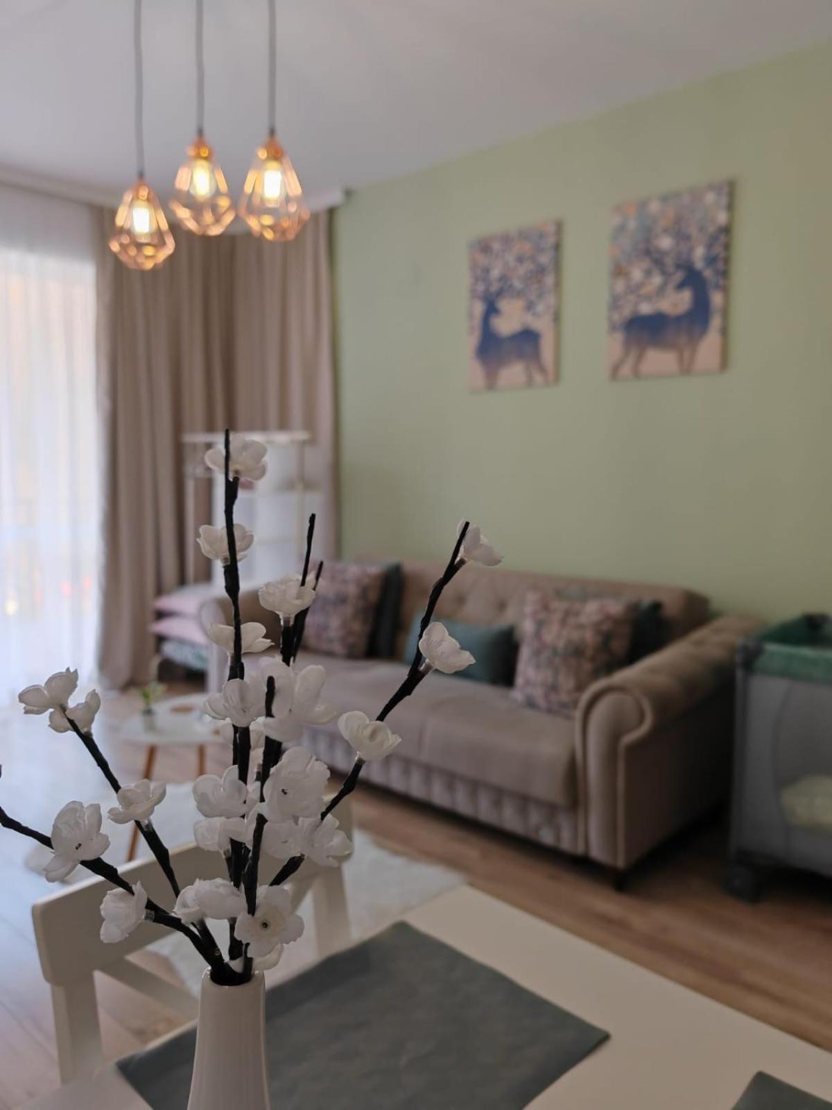 דירות Apartament Panoramic View סינאיה מראה חיצוני תמונה